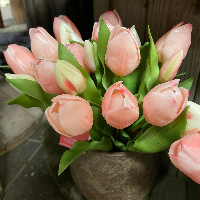 Pastelroze zijde tulpen